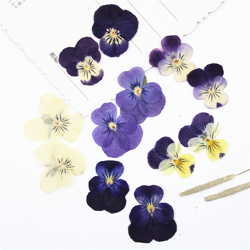 Factory Wholesale Dried Flower Materials for Resin Artists and Craft Stores