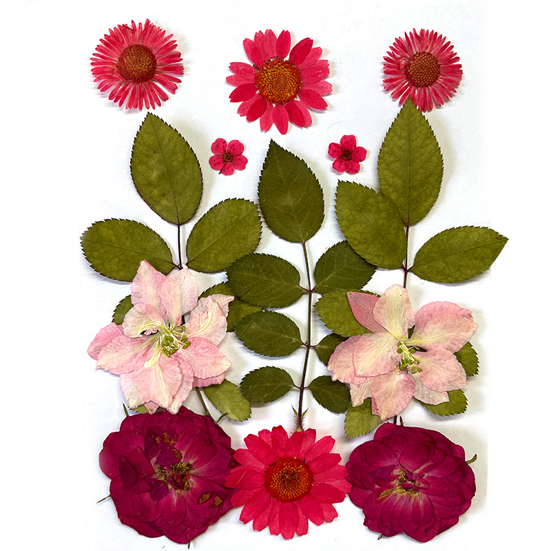 Bulk Dried Flower Petals for Epoxy Resin Projects and DIY Handmade Crafts