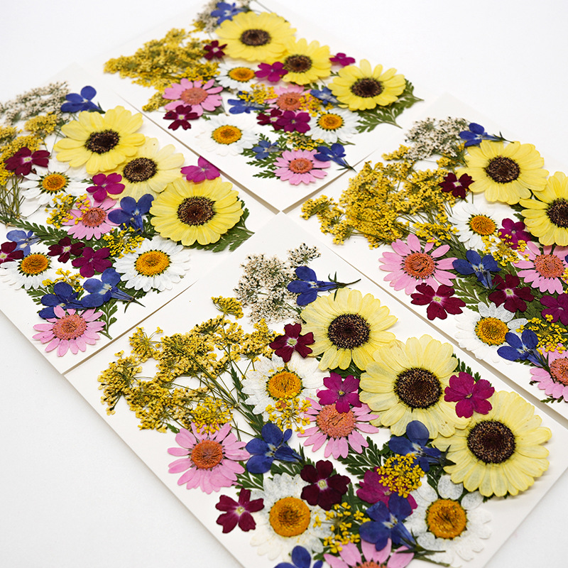 Wholesale Mini Dried Flowers for Resin Coasters, Keychains and Jewelry F052