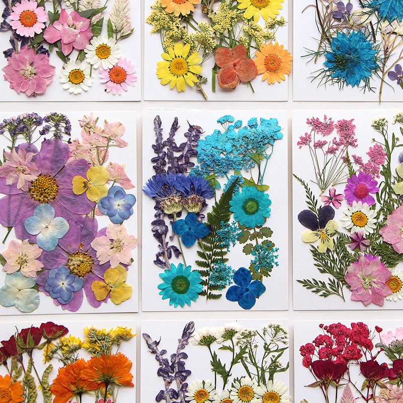 Wholesale Colorful Dried Flower Set for Epoxy Resin Craft Materials F048