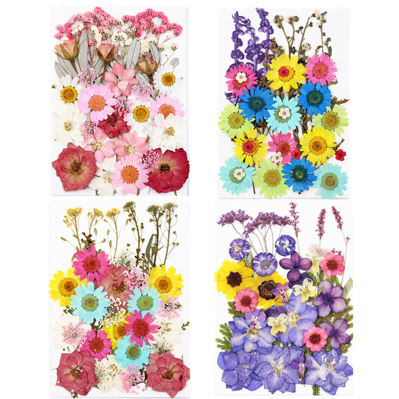Factory Wholesale Pressed Flowers for Resin Jewelry Making Supplies