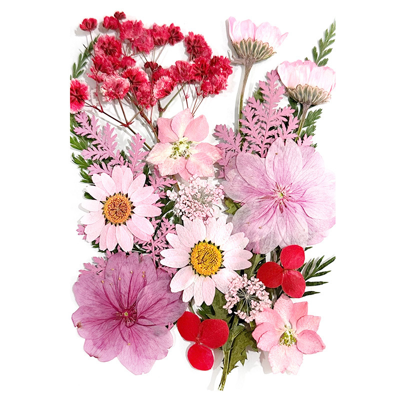 Custom Color Dried Flowers for Resin Craft Supplies and Private Label Brands