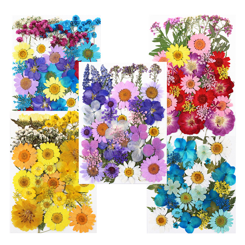 Wholesale Dried Flowers for Resin Art, Jewelry Making and DIY Crafts | OEM Supplier
