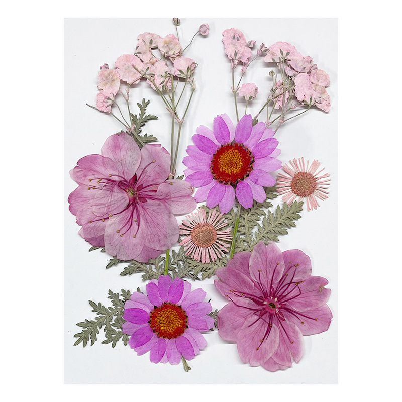 Natural Pressed Botanical Flowers for Resin Artists and Craft Businesses F043
