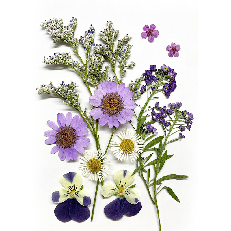 Pressed Flower Material Set for Resin Jewelry, Pendants and Keychains