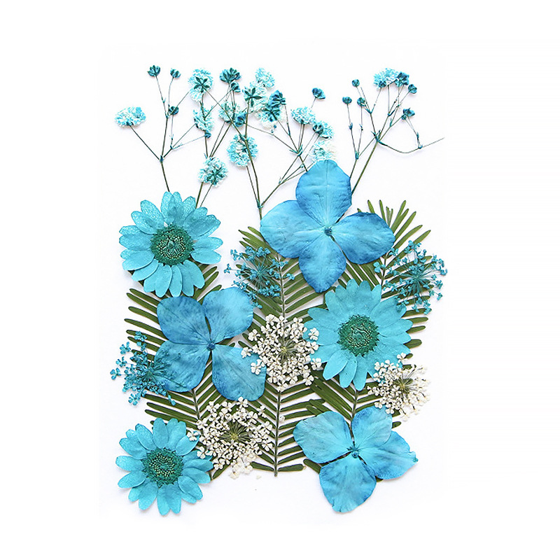 OEM Dried Flower Mix Kit for Resin Art Suppliers and DIY Craft Brands F050