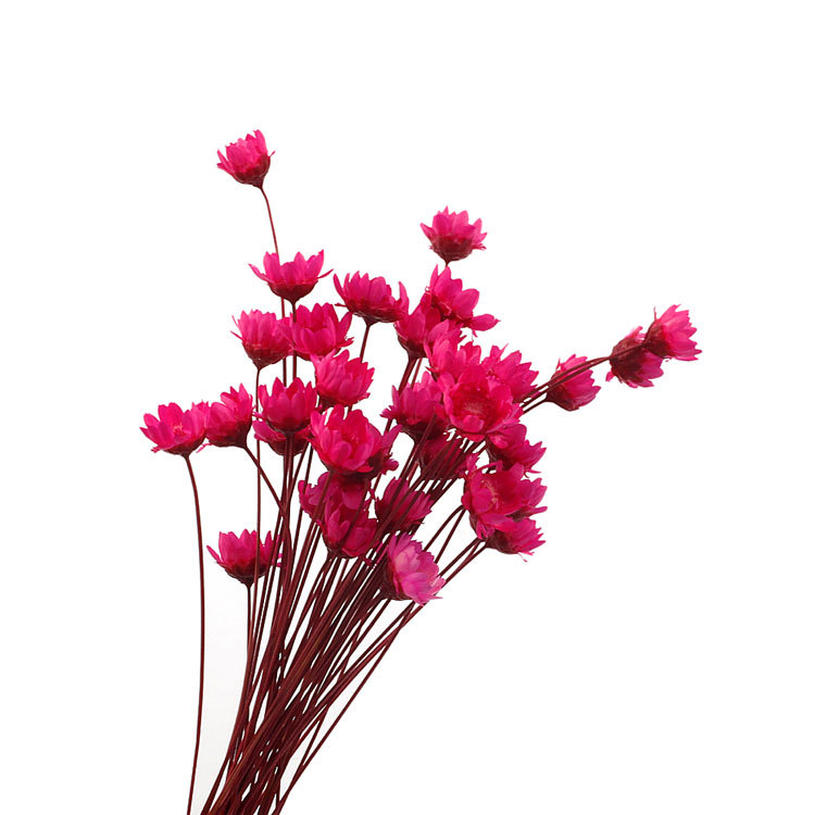 Wholesale Floral Decoration Materials for Resin Art and DIY Handmade Crafts F055