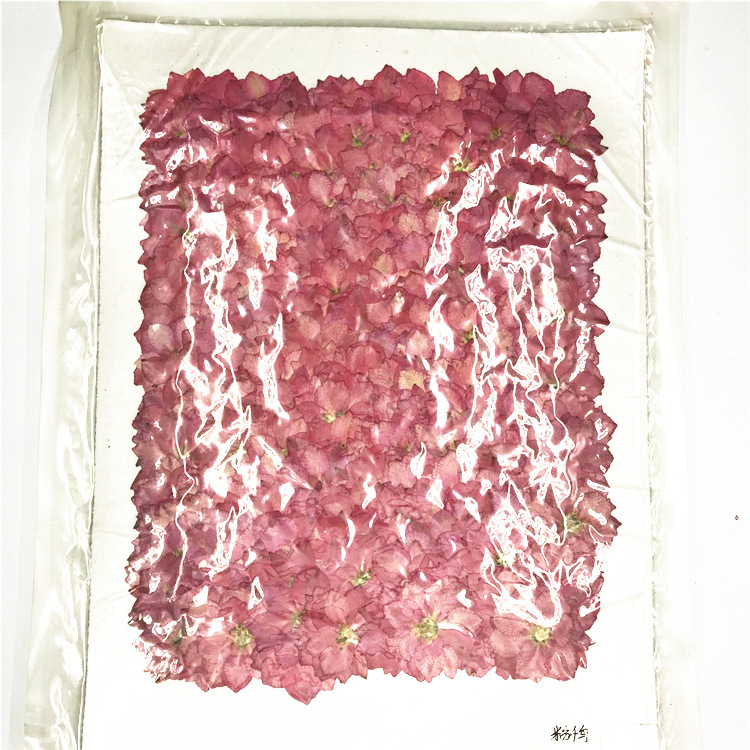 Wholesale Mini Dried Flowers for Resin Jewelry Making and Craft Accessories
