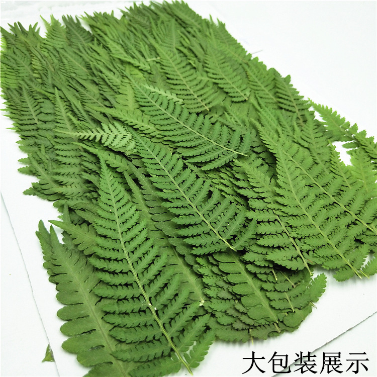 Pressed Botanical Flowers for Resin Casting, Jewelry Making and Crafts