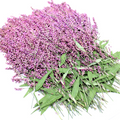 Wholesale Floral Decorations for Resin Art Supplies and Handmade Products