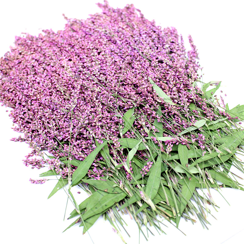 Wholesale Floral Decorations for Resin Art Supplies and Handmade Products