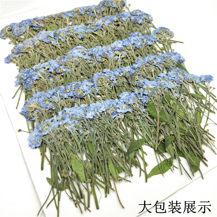 DIY Resin Craft Dried Flowers Set with Custom Colors and Packaging