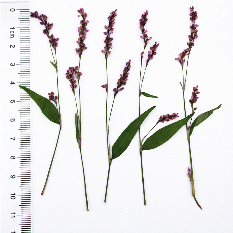 Wholesale Floral Decorations for Resin Art Supplies and Handmade Products