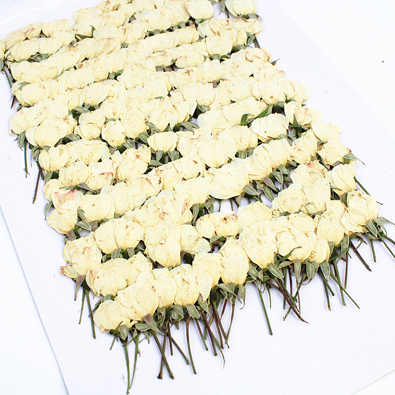 OEM Dried Flower Supplies for Resin Craft Brands and DIY Kit Manufacturers