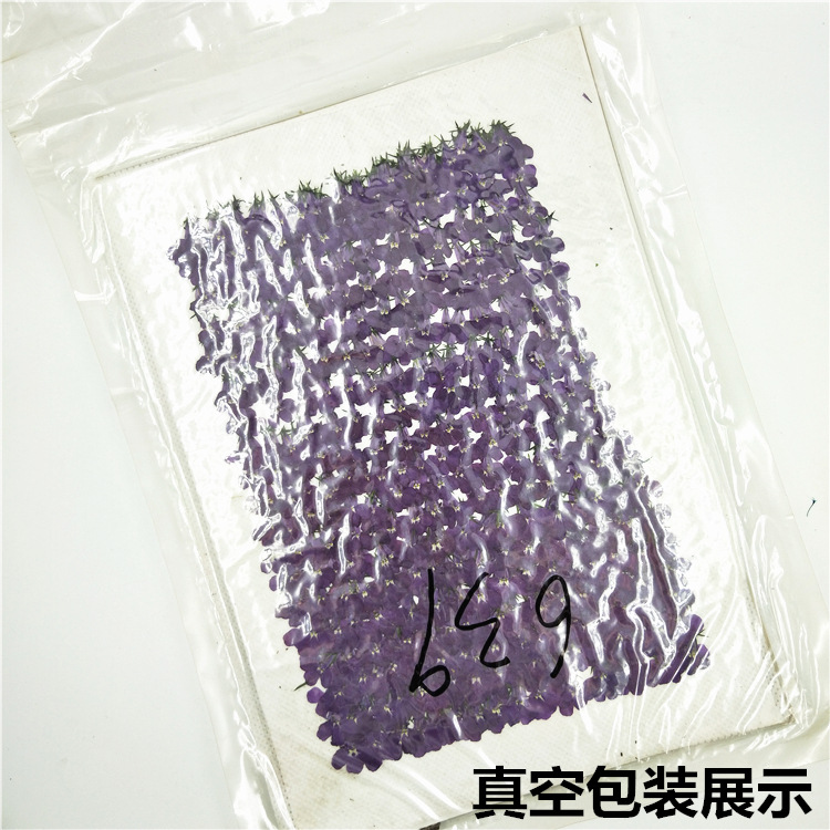 Bulk Dried Flower Supply for DIY Kit Brands and Resin Craft Businesses