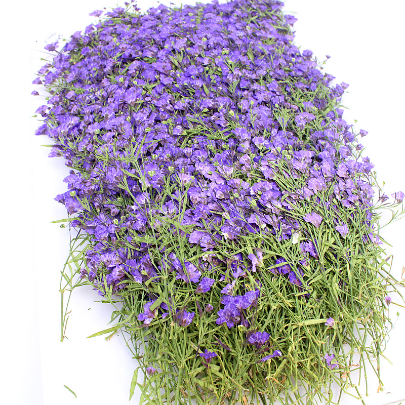 Wholesale Mini Dried Flowers for Resin Filling and DIY Craft Projects