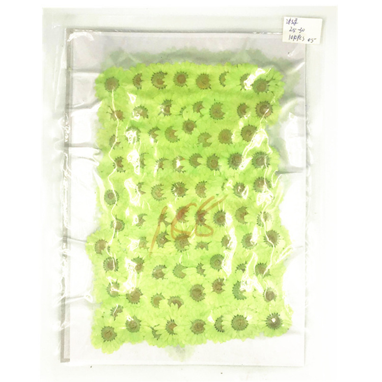 Natural Pressed Dried Flowers for Epoxy Resin Crafts and Handmade Jewelry