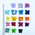 Bulk Natural Flowers for Epoxy Resin Filling and Decorative Craft Supplies