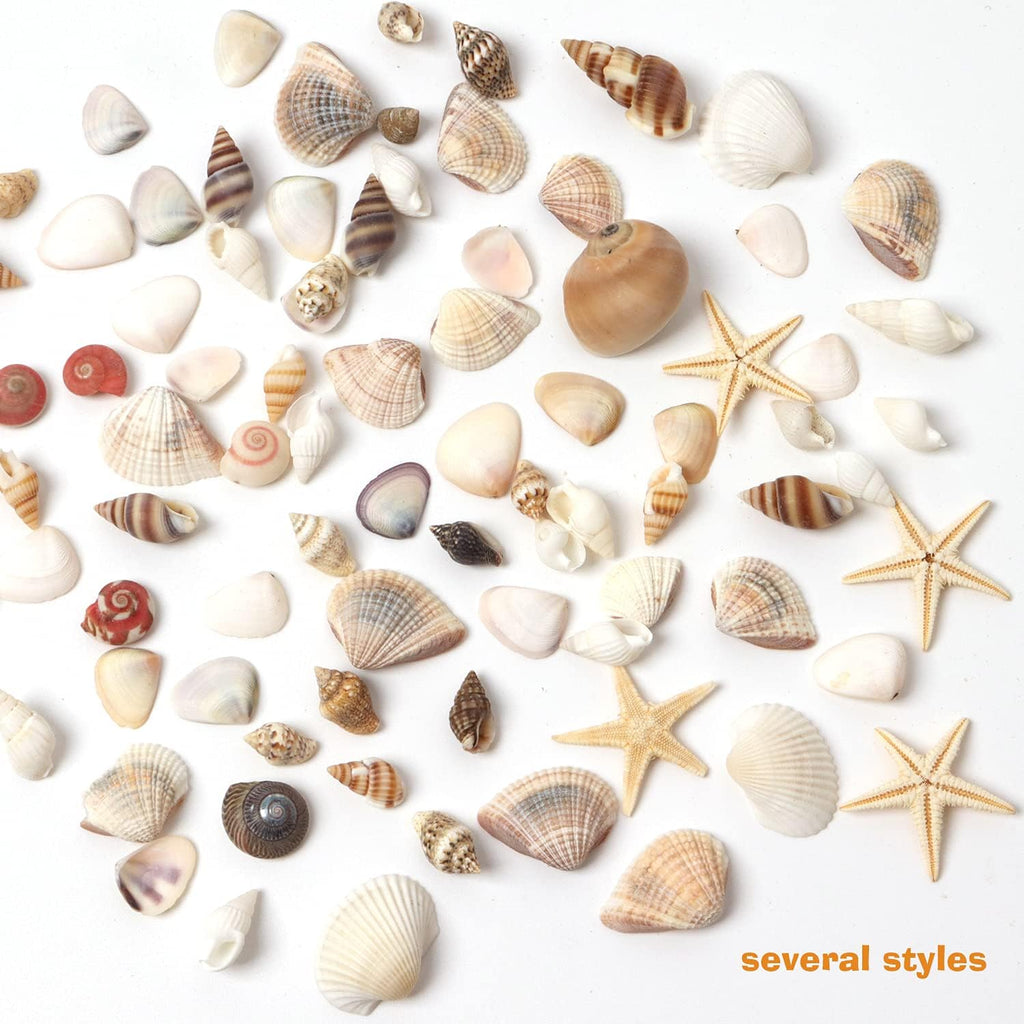 Mixed Seashell Charms and Ocean Decorations for Epoxy Resin DIY Projects