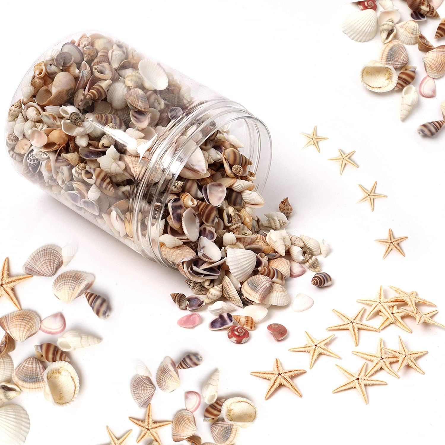 Mixed Seashell Charms and Ocean Decorations for Epoxy Resin DIY Projects