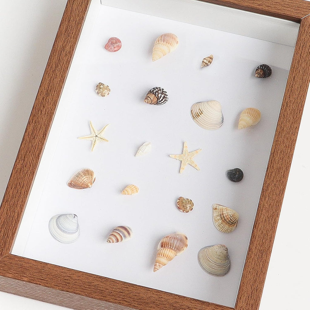 Mixed Seashell Charms and Ocean Decorations for Epoxy Resin DIY Projects