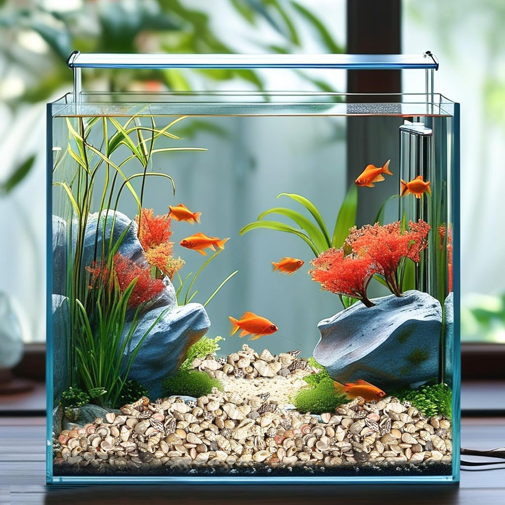 Natural Seashell Decorations for Epoxy Resin Crafts | Wholesale Shell Filling Materials Supplier