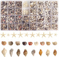 Natural Seashell Decorations for Epoxy Resin Crafts | Wholesale Shell Filling Materials Supplier