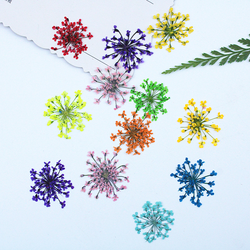 Wholesale Dried Flowers for Resin Art, Jewelry Making and DIY Crafts