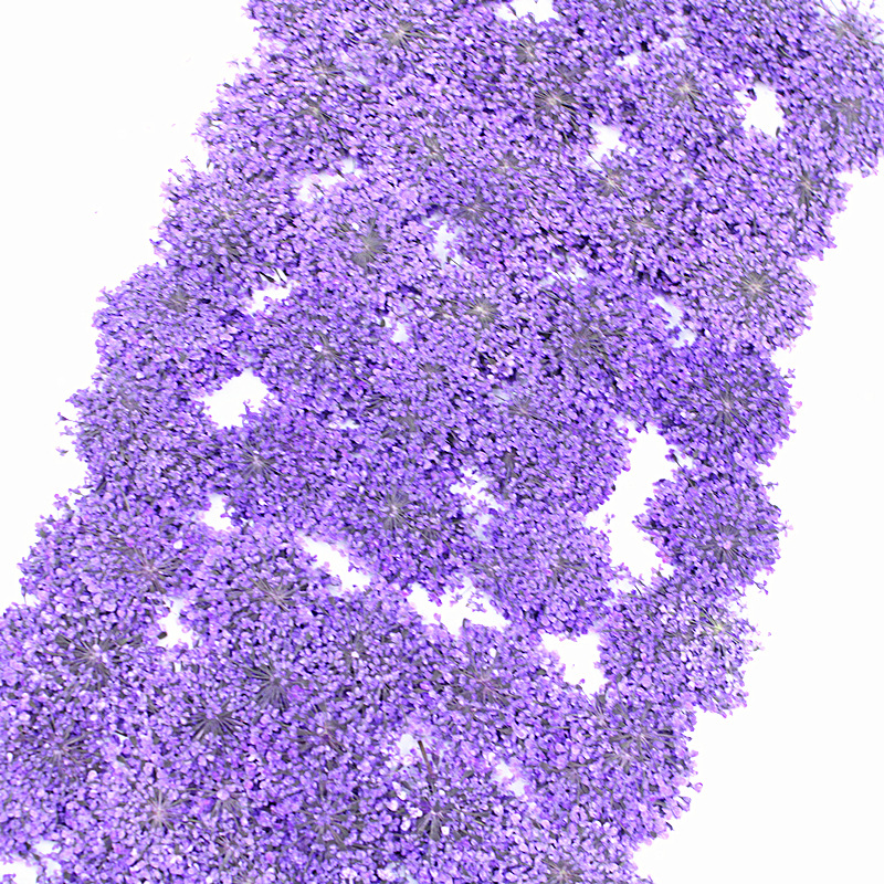 Wholesale Dried Flowers for Resin Art, Jewelry Making and DIY Crafts
