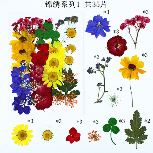 Bulk Dried Flower Supply for DIY Kit Brands and Resin Craft Businesses