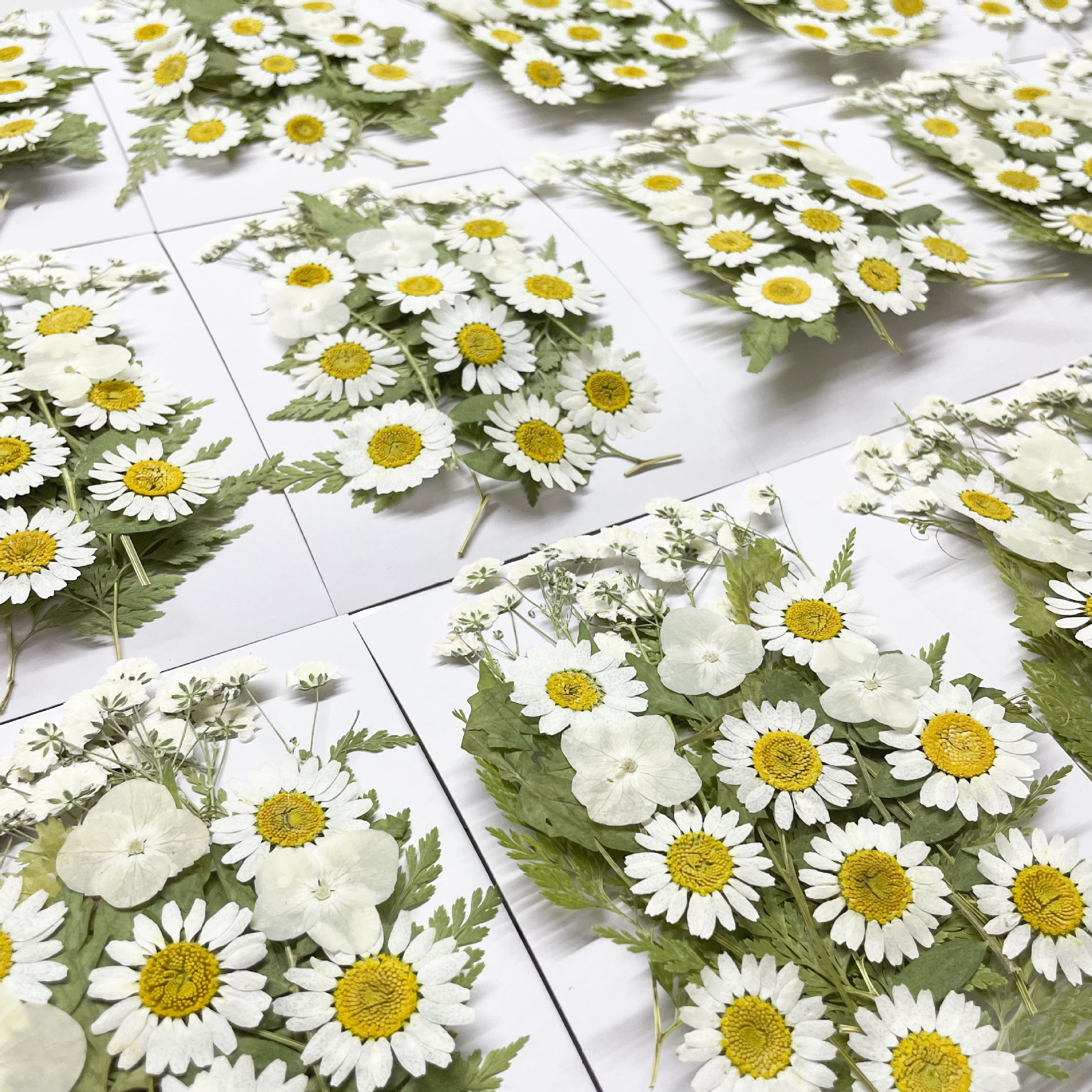 Dried Flower Mix Set for Epoxy Resin Jewelry Making Supplies F045