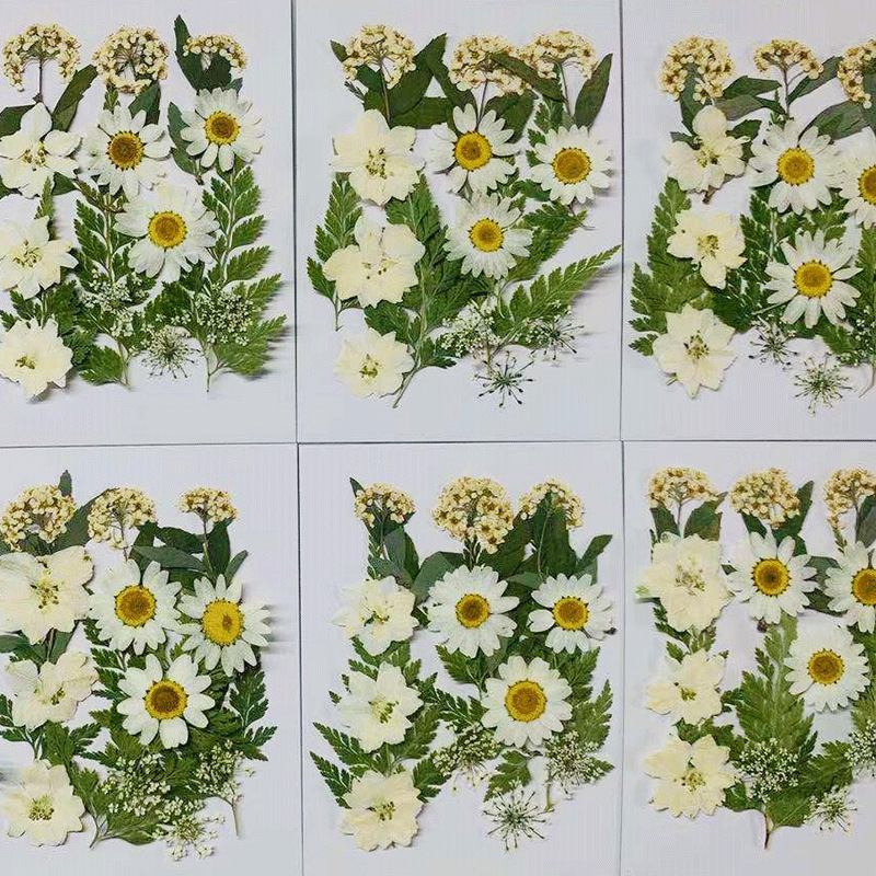 Wholesale Resin Craft Flowers with Custom Packaging and OEM Service F042
