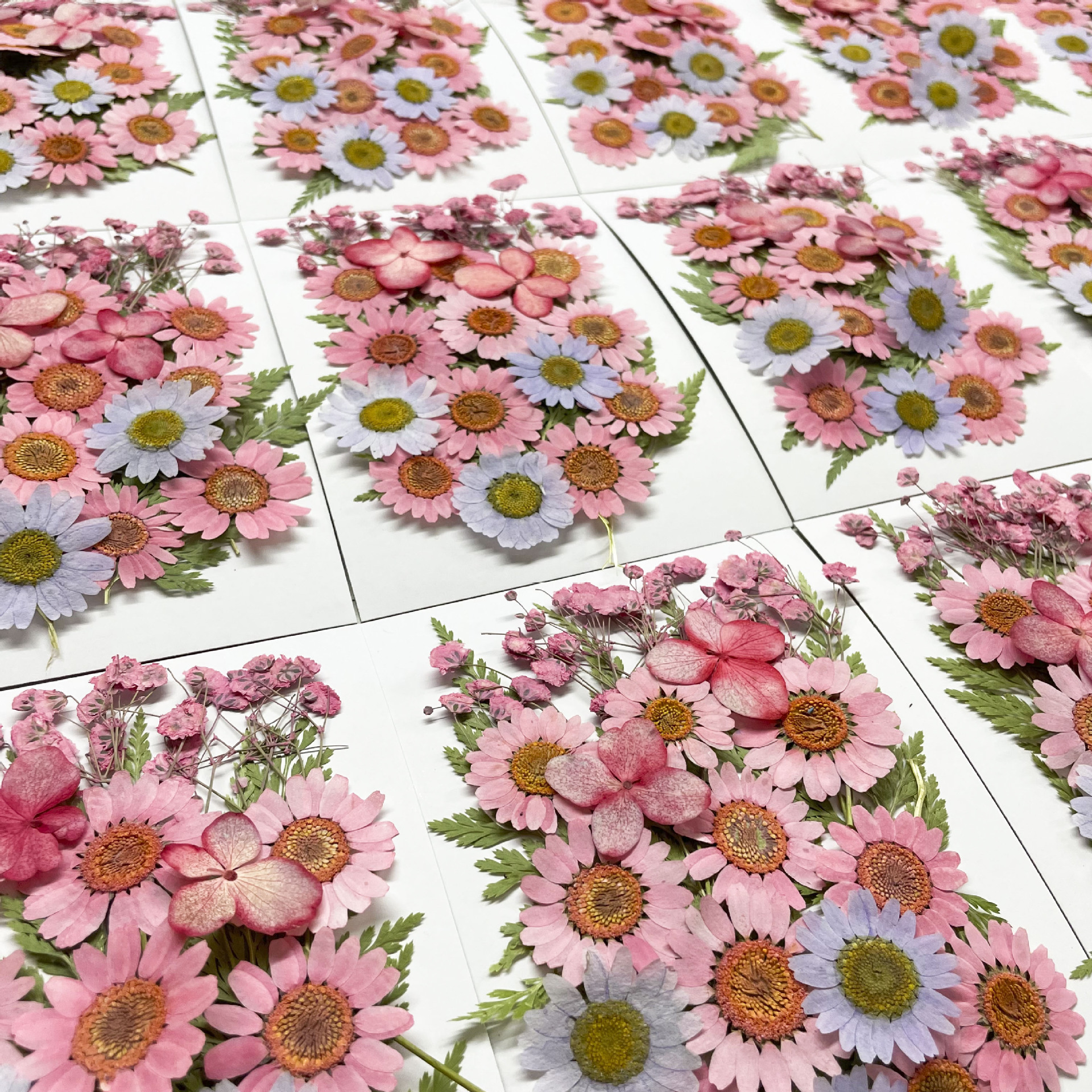 Dried Flower Mix Set for Epoxy Resin Jewelry Making Supplies F045