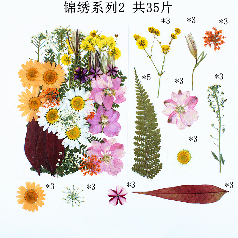 Bulk Dried Flower Supply for DIY Kit Brands and Resin Craft Businesses