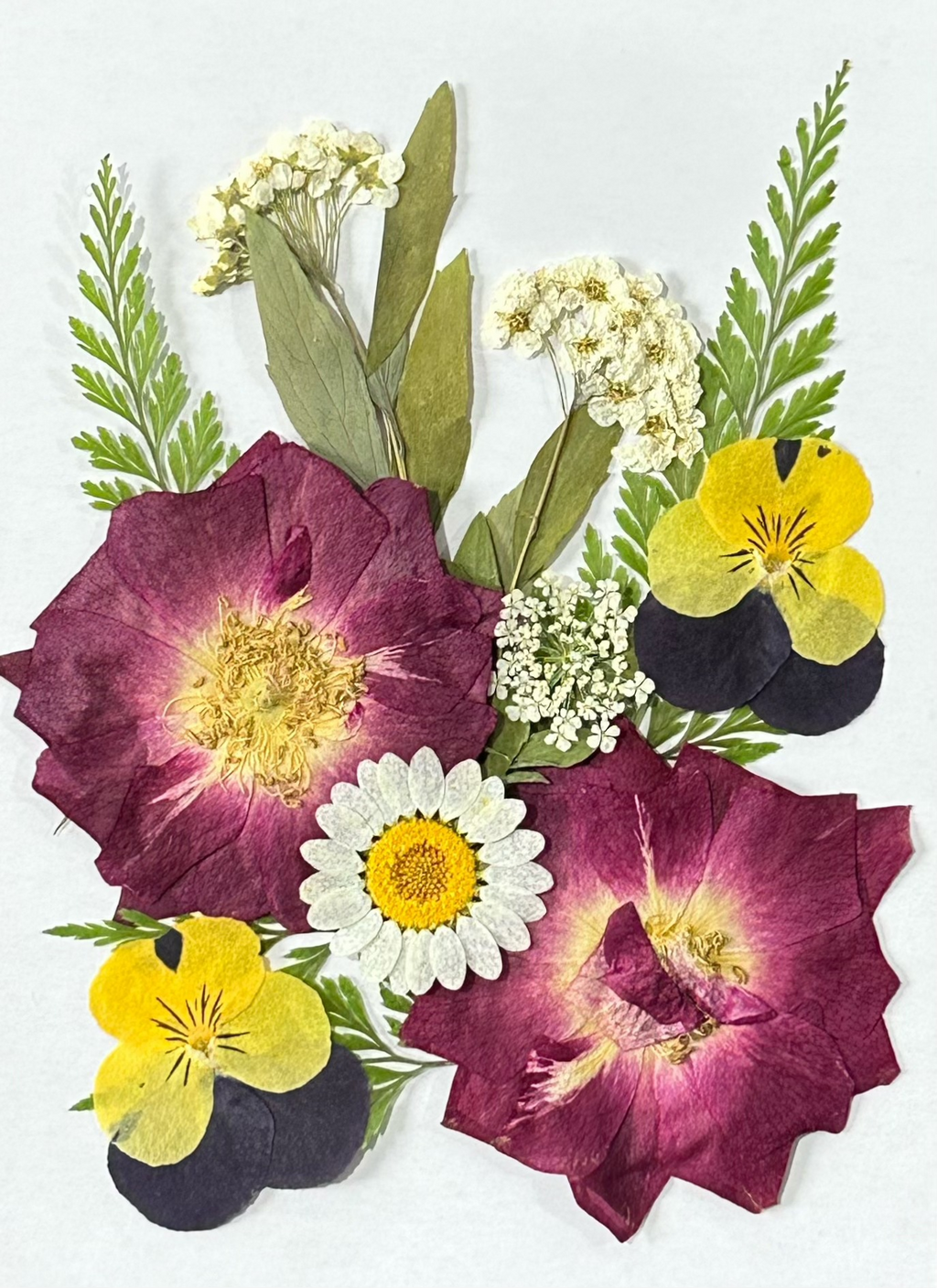 Wholesale Natural Pressed Dried Flowers for Resin Art and DIY Crafts F044