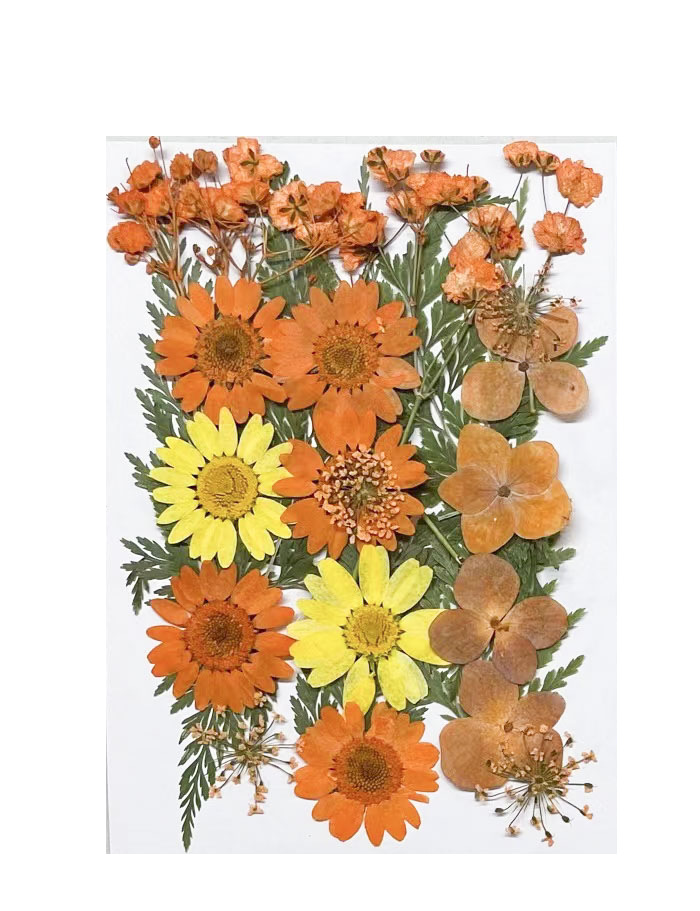 Dried Flower Mix Set for Epoxy Resin Jewelry Making Supplies F045