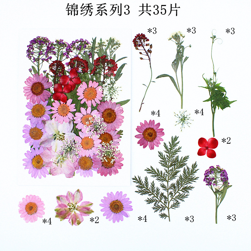 Bulk Dried Flower Supply for DIY Kit Brands and Resin Craft Businesses