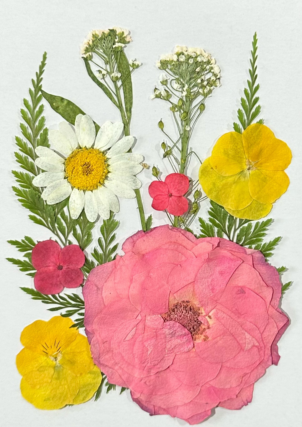 Wholesale Natural Pressed Dried Flowers for Resin Art and DIY Crafts F044