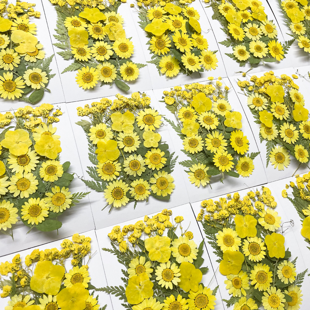 Dried Flower Mix Set for Epoxy Resin Jewelry Making Supplies F045