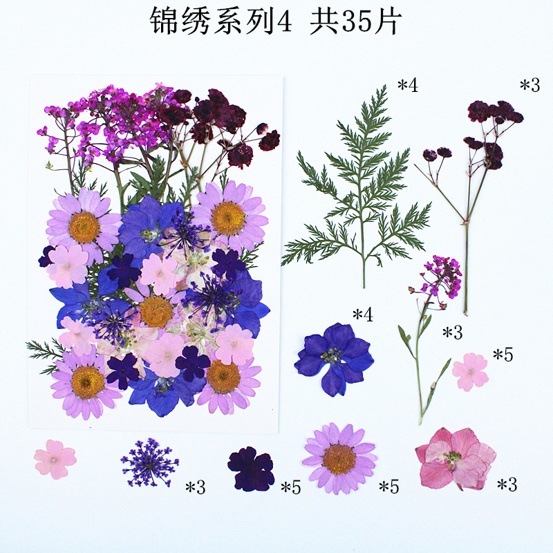 Bulk Dried Flower Supply for DIY Kit Brands and Resin Craft Businesses