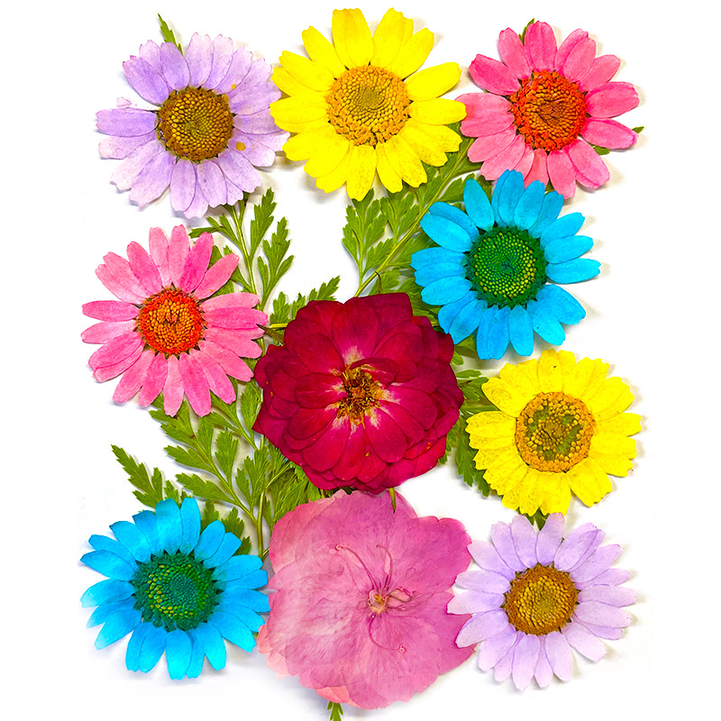 Bulk Dried Flower Petals for Epoxy Resin Projects and DIY Handmade Crafts