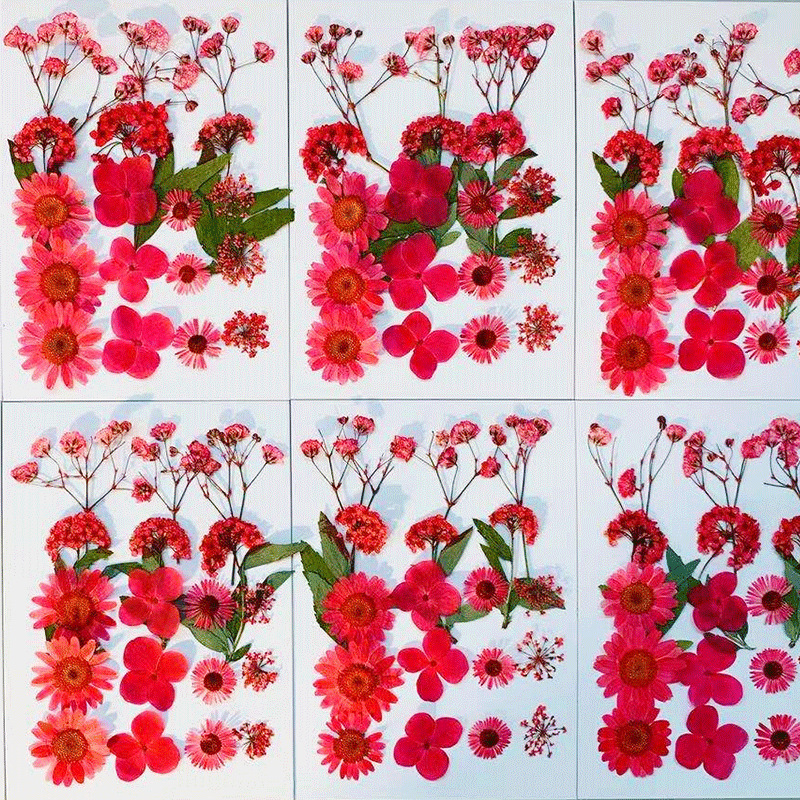 Wholesale Resin Craft Flowers with Custom Packaging and OEM Service F042