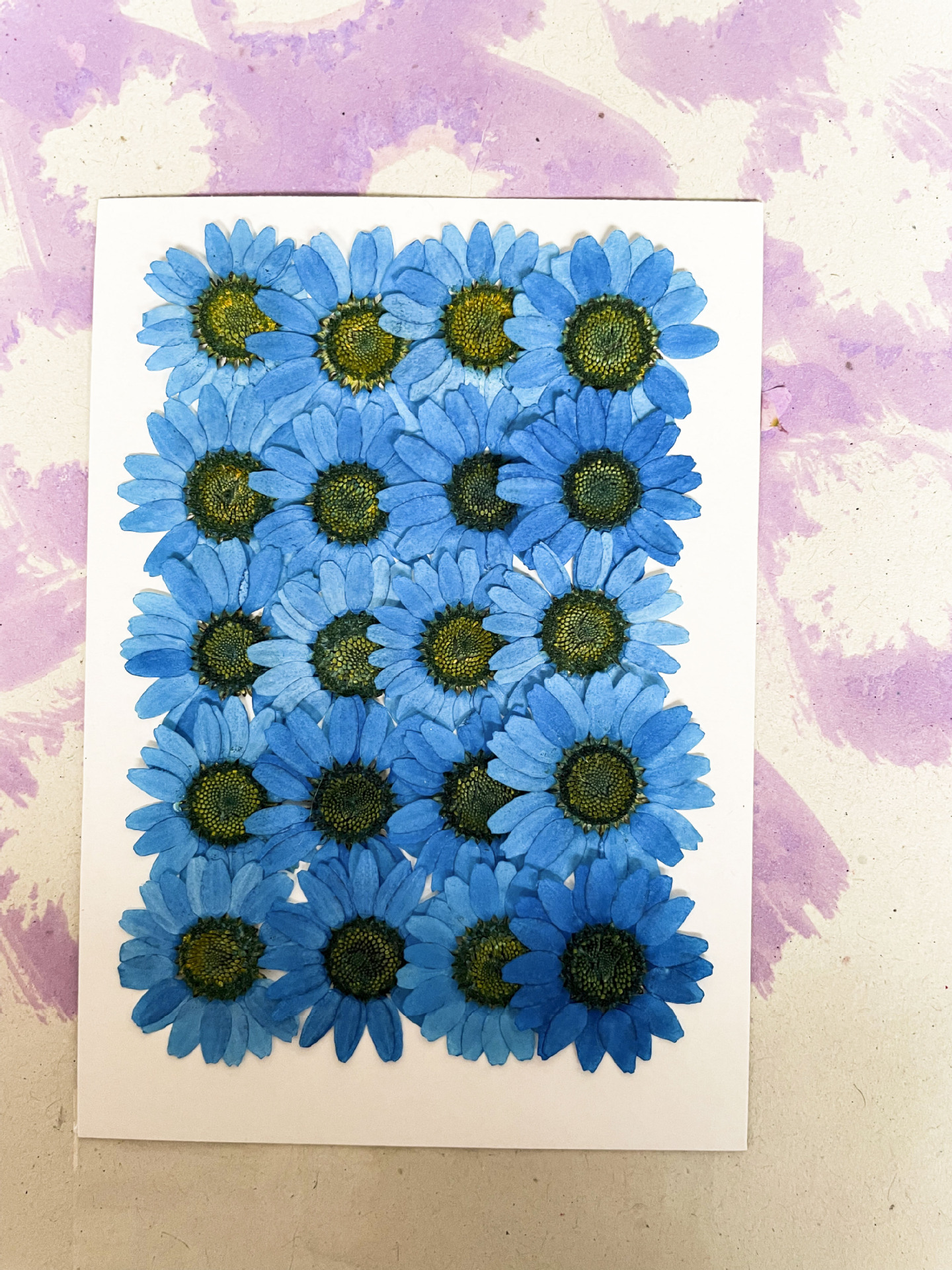 Bulk Pressed Flowers for Resin Crafts, Handmade Jewelry and DIY Projects F046