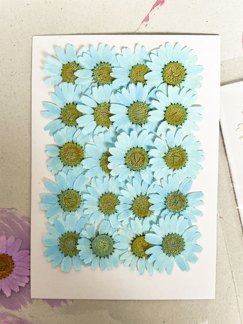 Bulk Pressed Flowers for Resin Crafts, Handmade Jewelry and DIY Projects F046