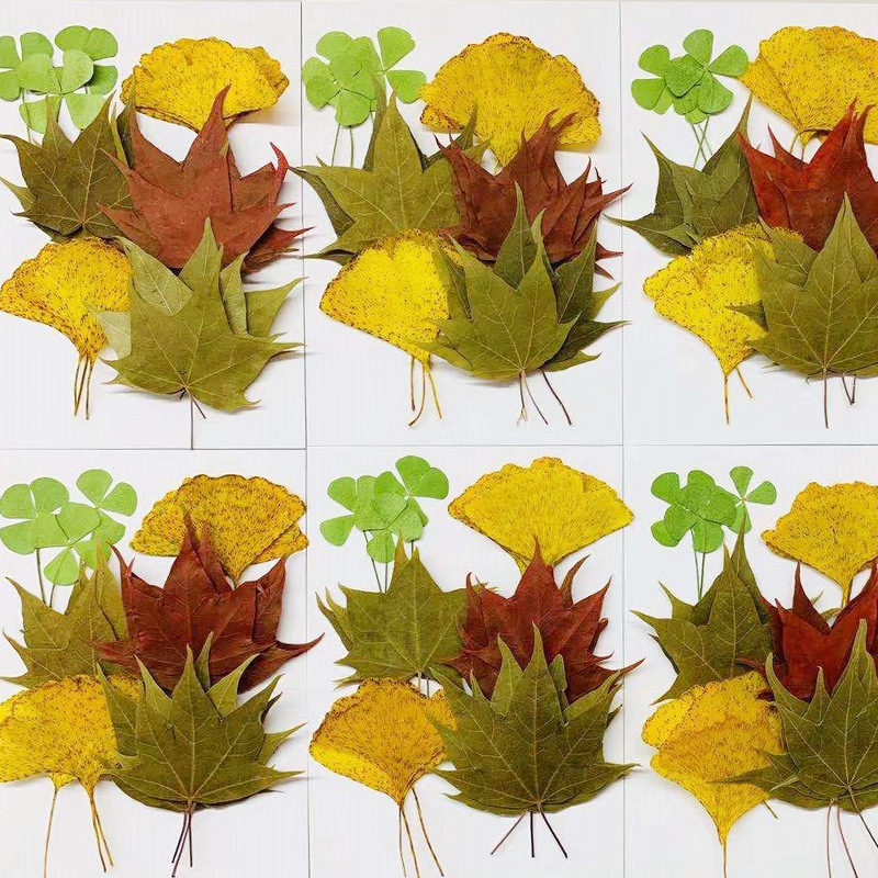 Wholesale Resin Craft Flowers with Custom Packaging and OEM Service F042
