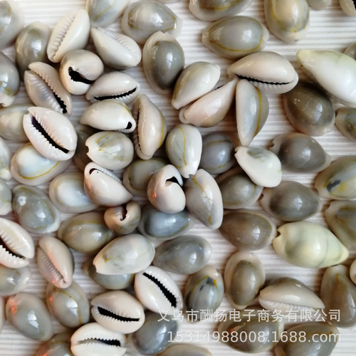 .Ocean Style Shell Decorations for Epoxy Resin Coasters and Jewelry Crafts