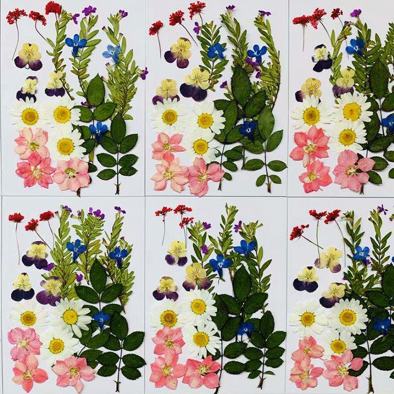 Wholesale Resin Craft Flowers with Custom Packaging and OEM Service F042