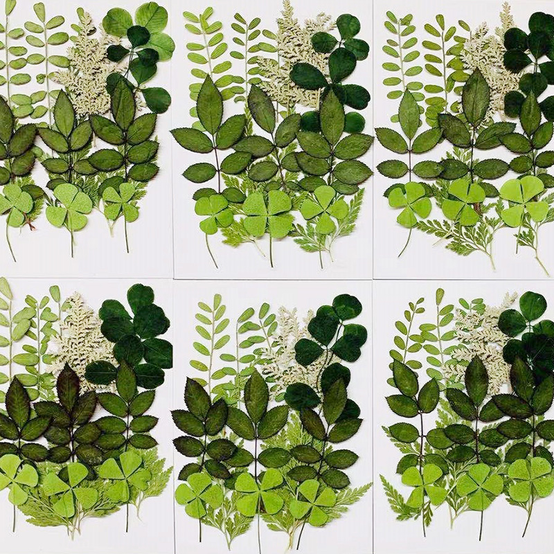 Wholesale Resin Craft Flowers with Custom Packaging and OEM Service F042