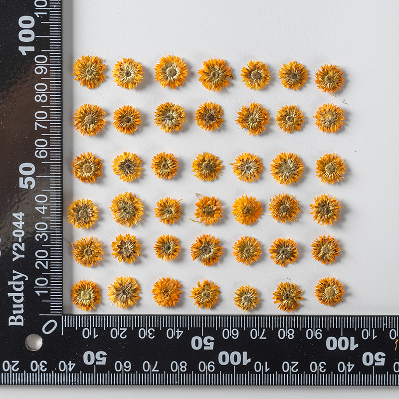 OEM Dried Flowers Supply for Resin Craft Brands and Handmade Product Sellers